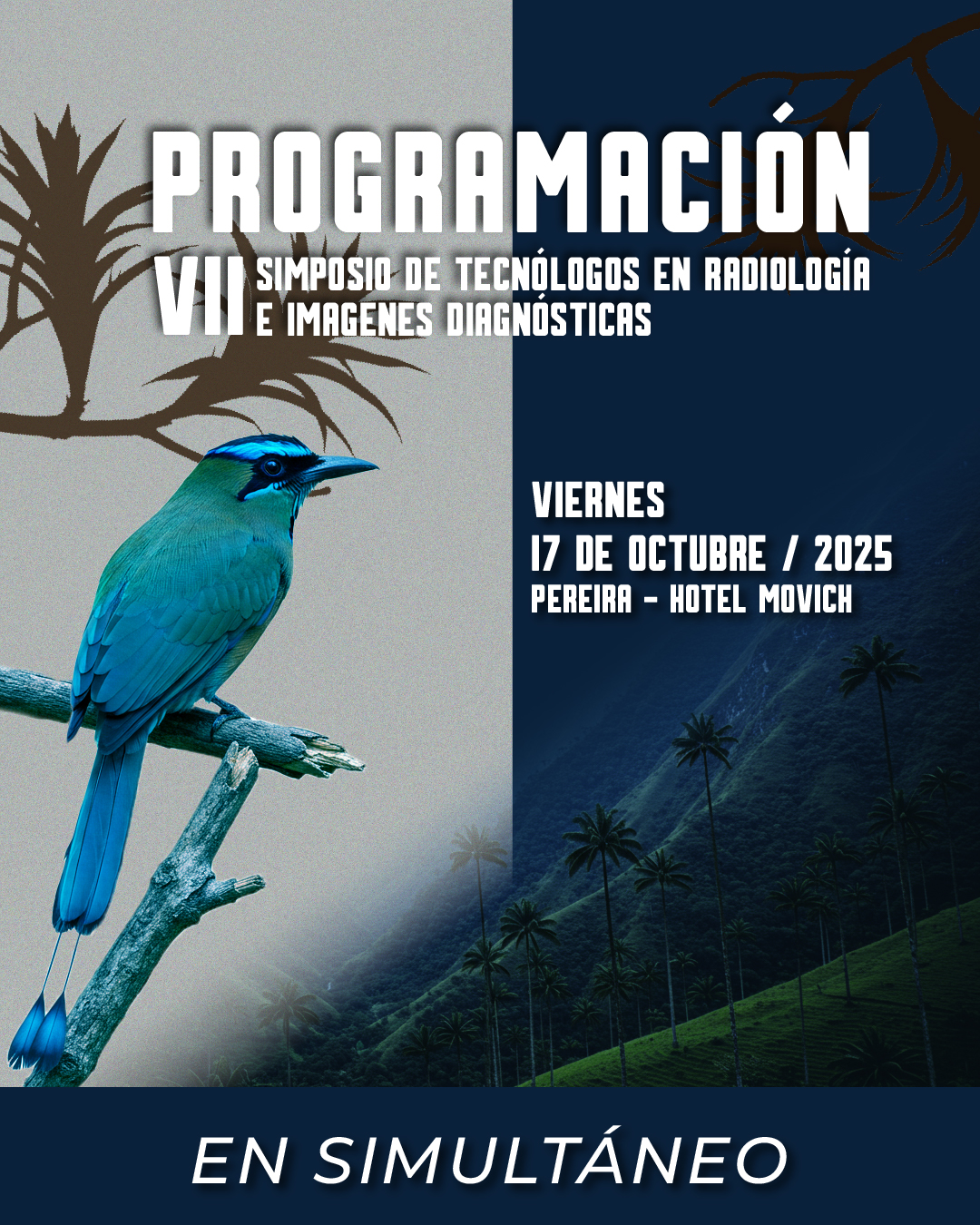 P2PROG