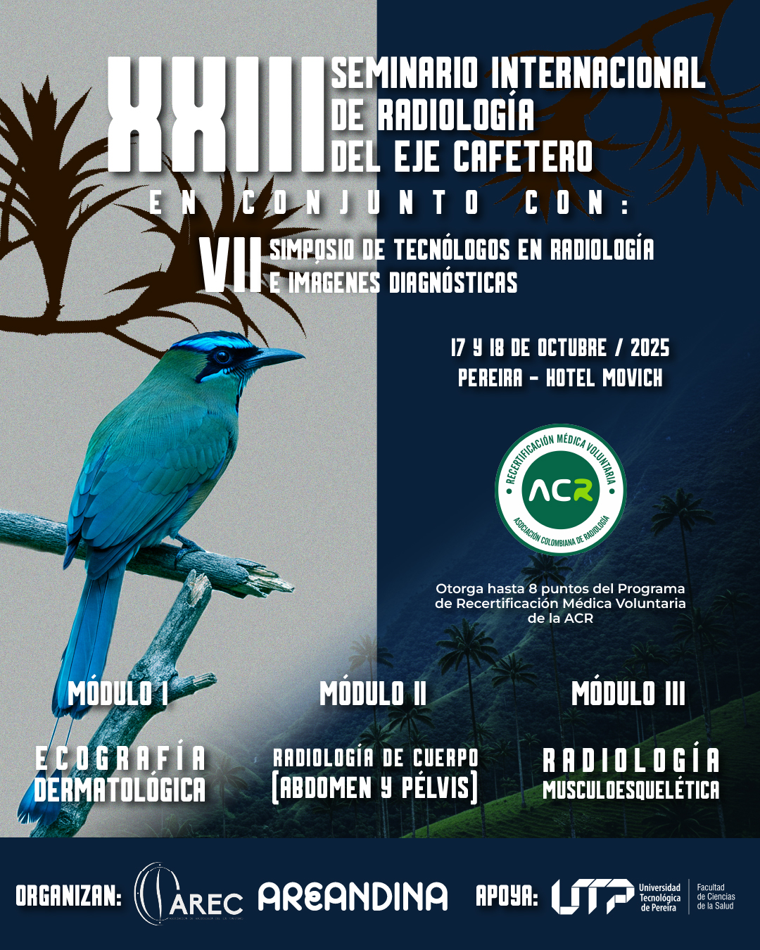 P1PROG